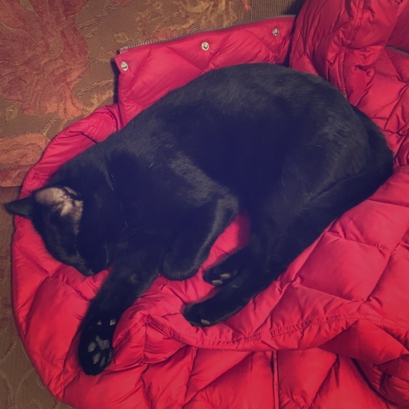 Meet your Posher, Andrea - Picture 1 of 1